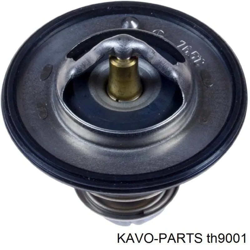 Termostato, refrigerante Nissan Sunny 3 N14