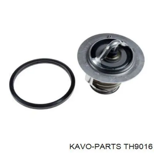 Termostato, refrigerante Nissan Sunny 3 N14