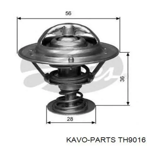 Termostato, refrigerante Nissan Sunny 3 N14