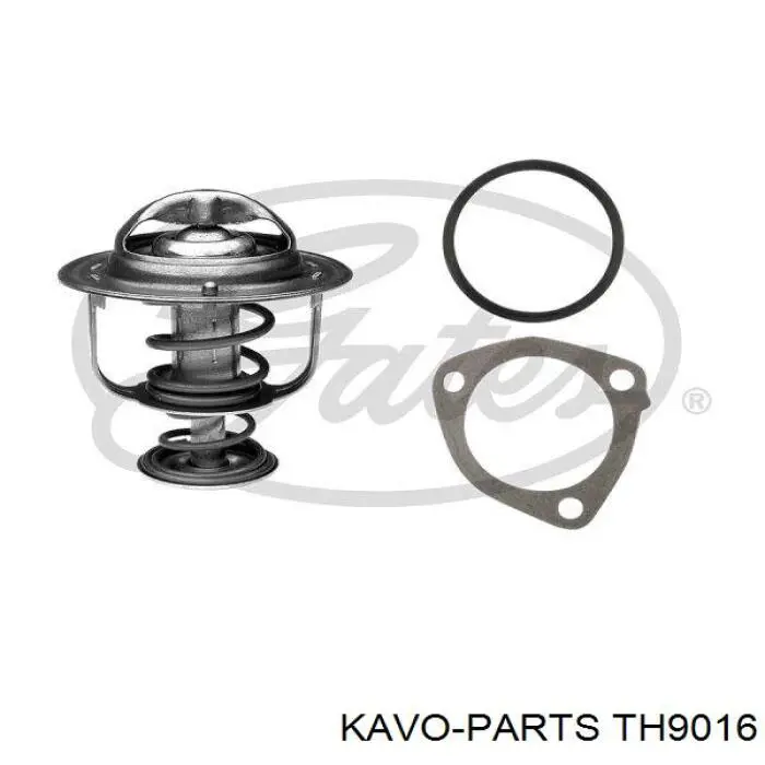 Termostato, refrigerante Nissan Sunny 3 N14