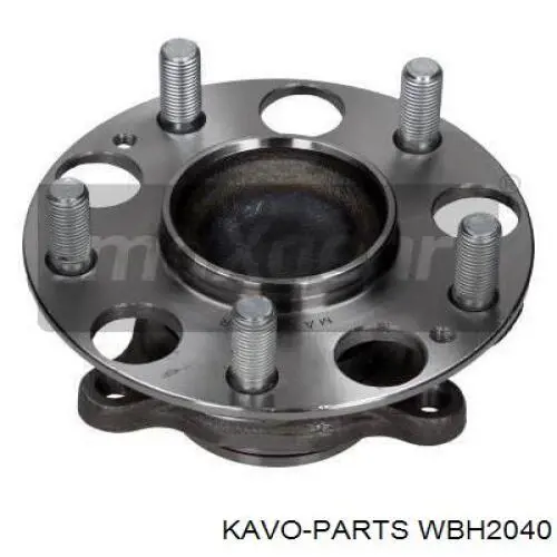 WBH2040 Kavo Parts cubo de rueda trasero