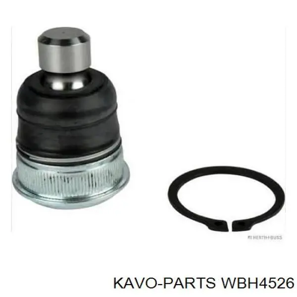 Comprar WBH4526 Kavo Parts Bujes de ruedas