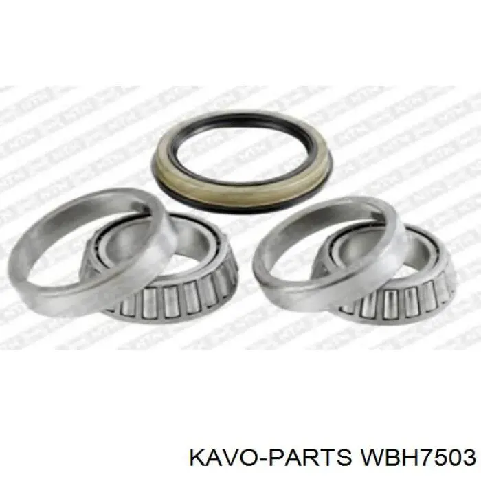 WBH7503 Kavo Parts cojinete de rueda delantero