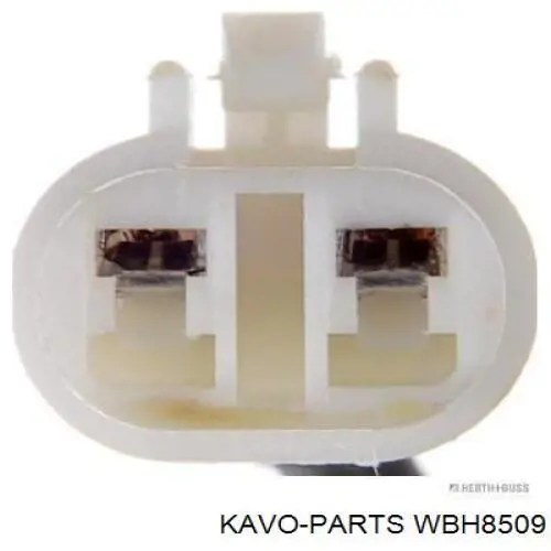 WBH-8509 Kavo Parts cubo de rueda trasero