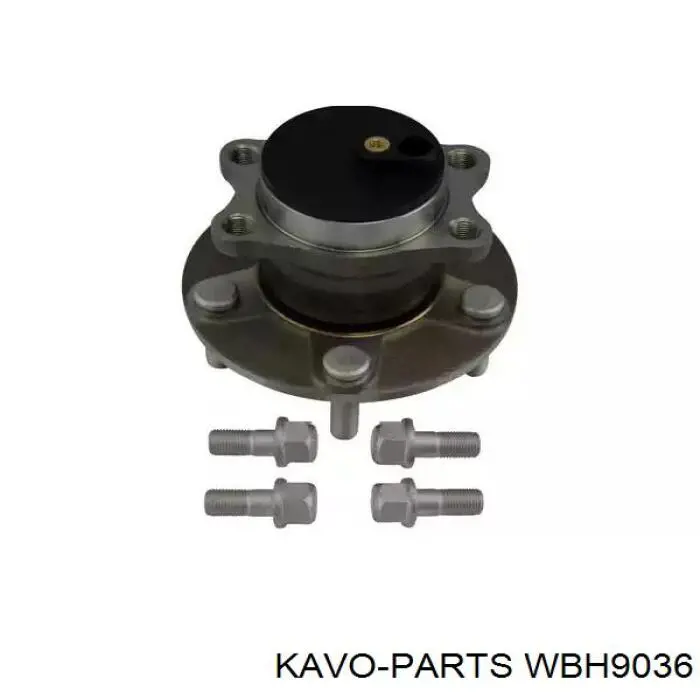 WBH9036 Kavo Parts cubo de rueda trasero
