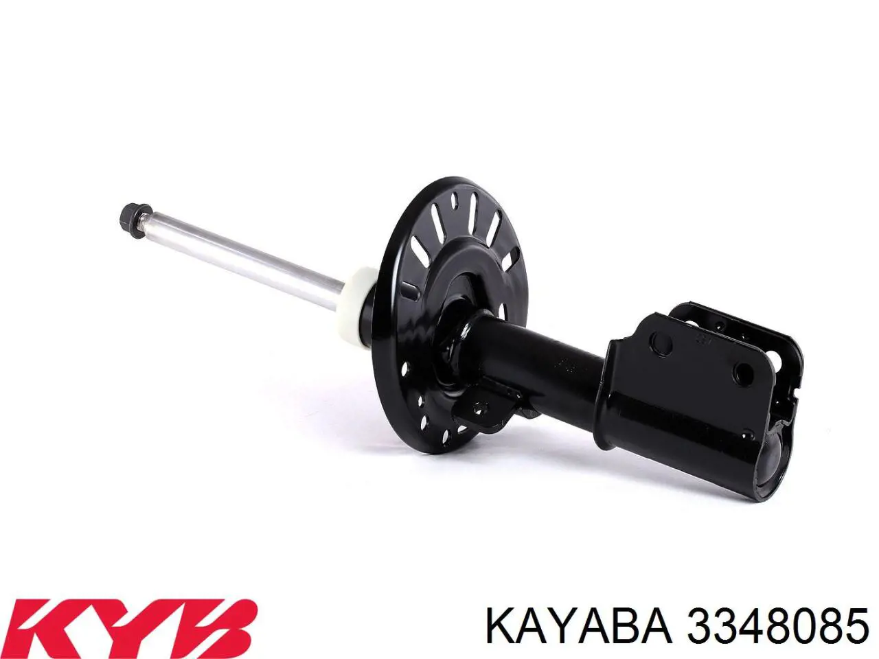 RS319556 Raiso Amortiguador frontal