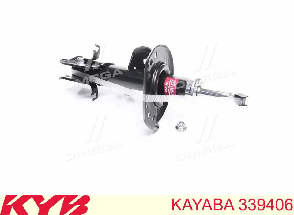 Amortiguador delantero derecho Raiso RS339406 precio, desde 77,16 EUR