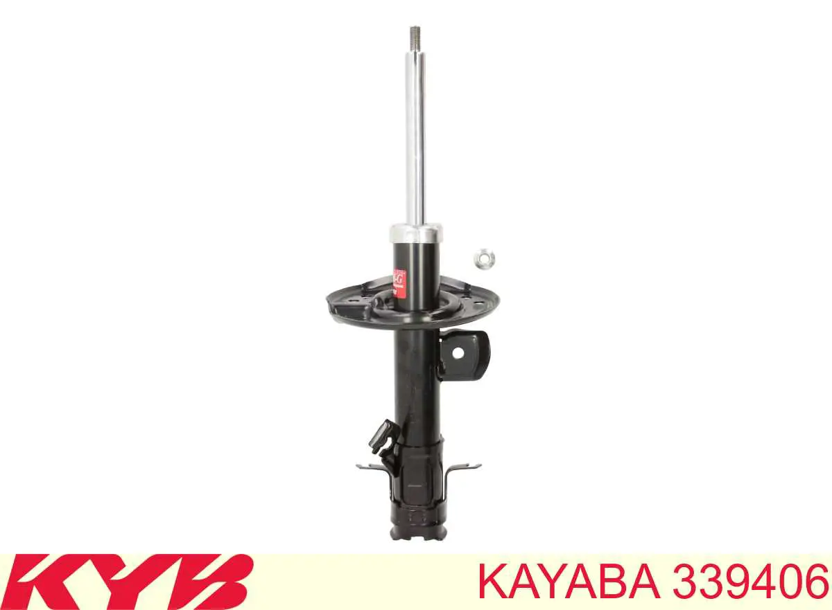 Comprar RS339406 Raiso Amortiguador delantero derecho