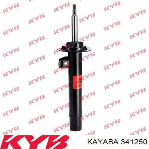 Amortiguador trasero RS313051 Raiso