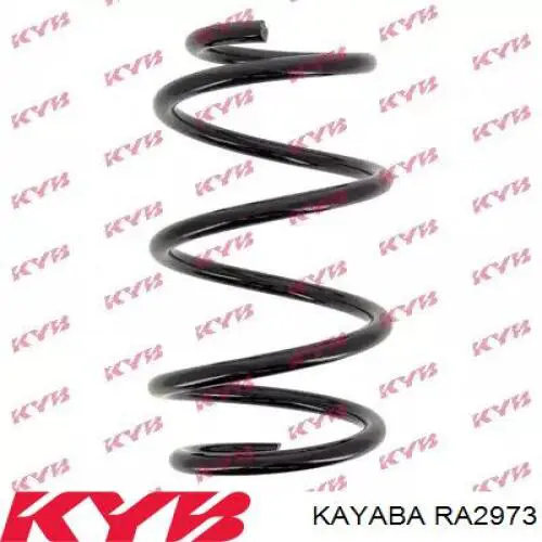 Comprar ZC2973A Japan Parts Muelle delantero
