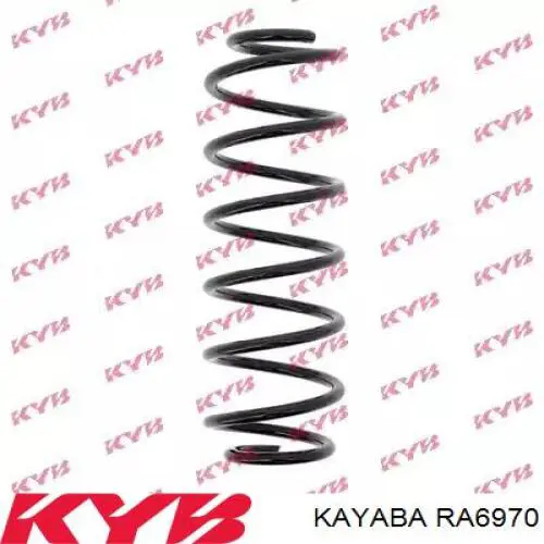 Muelle de suspensión trasero Japan Parts ZC6970A precio, desde 41,26 EUR