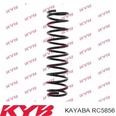 Muelle de suspensión trasero Mitsubishi M818685 precio, desde 36,06 EUR