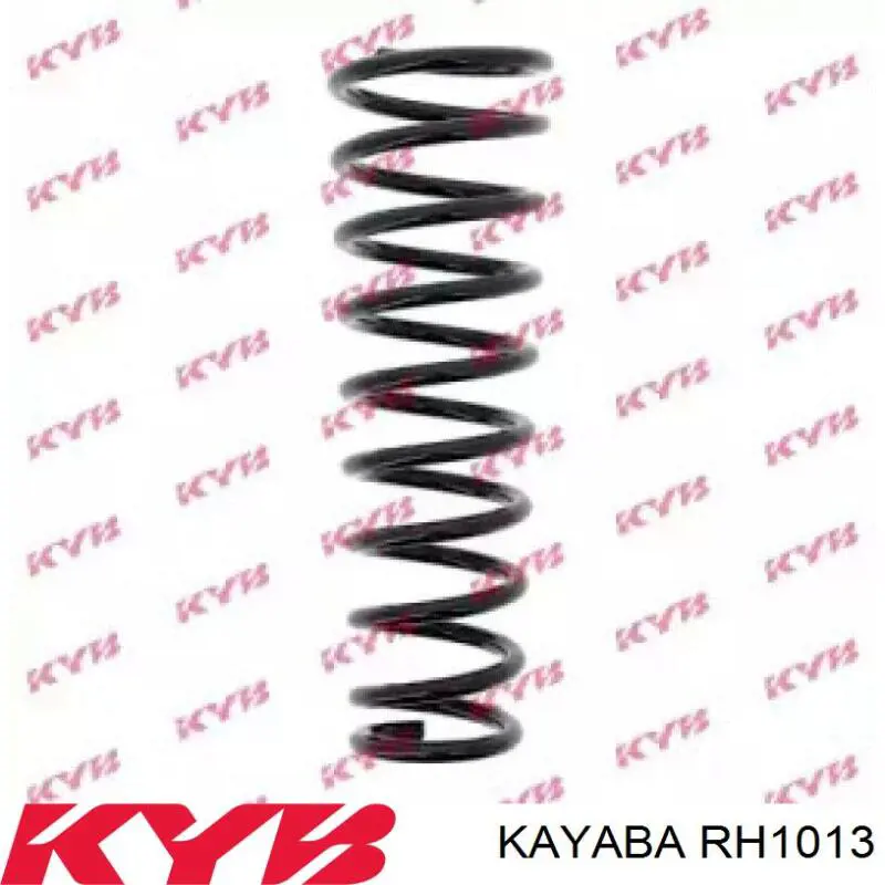 RH1013 Kayaba