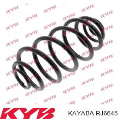 Muelle RJ6645 Kayaba