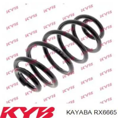 Comprar ZC6665X Japan Parts Muelle de eje trasero