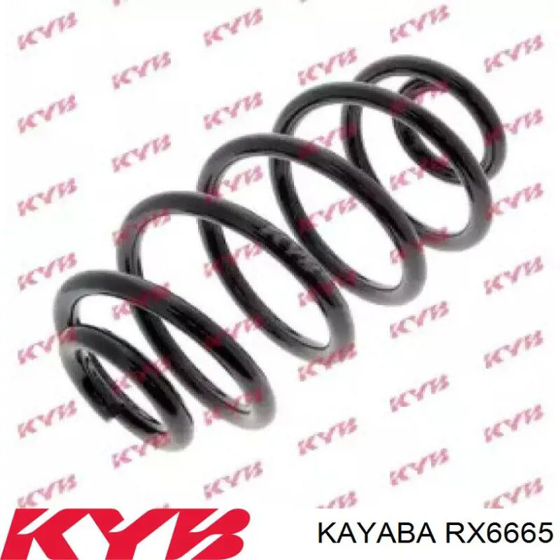 Muelle de suspensión trasero Japan Parts ZC6665X precio, desde 118,66 EUR
