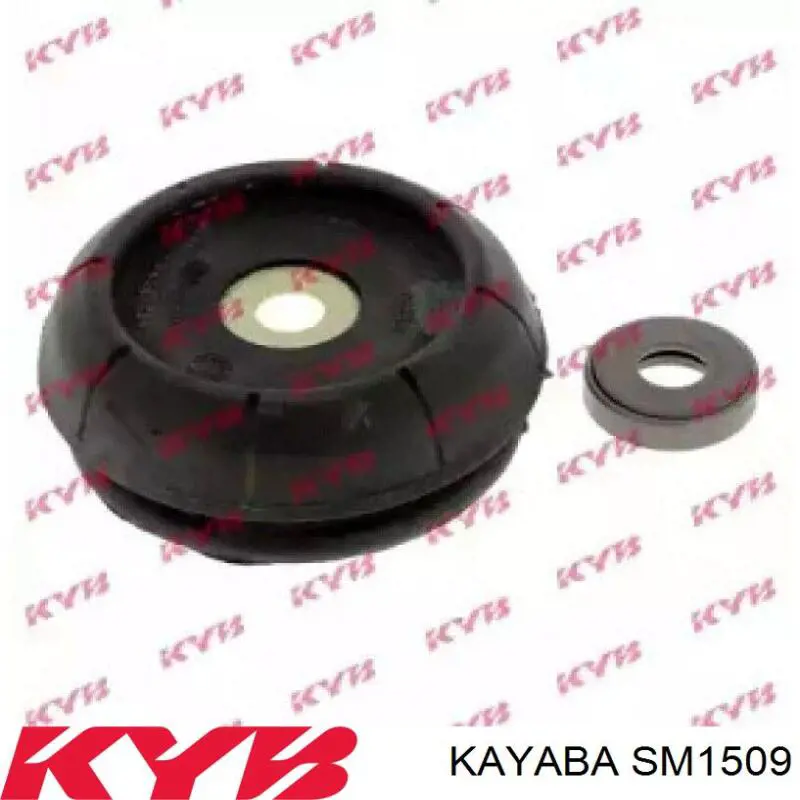 SM1509 Kayaba