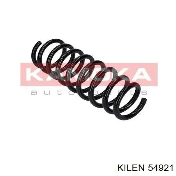 Comprar ZCA6368C Ashika Muelle de eje trasero