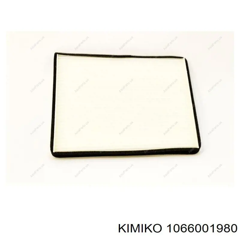 1066001980 BMW Filtro de gasolina