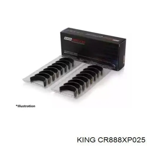 CR888XP025 King juego de cojinetes de biela, cota de reparación +0,25 mm