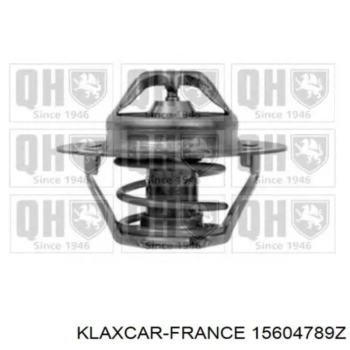 Termostato, refrigerante Renault Laguna 2 BG0, BG1