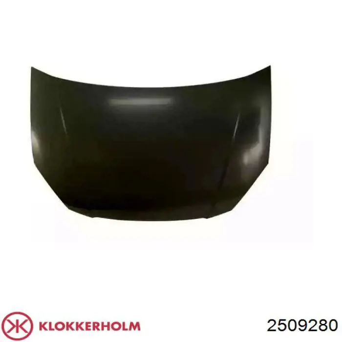 Capot Ford 4067109