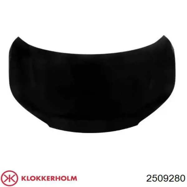 4067109 Ford Capó delantero
