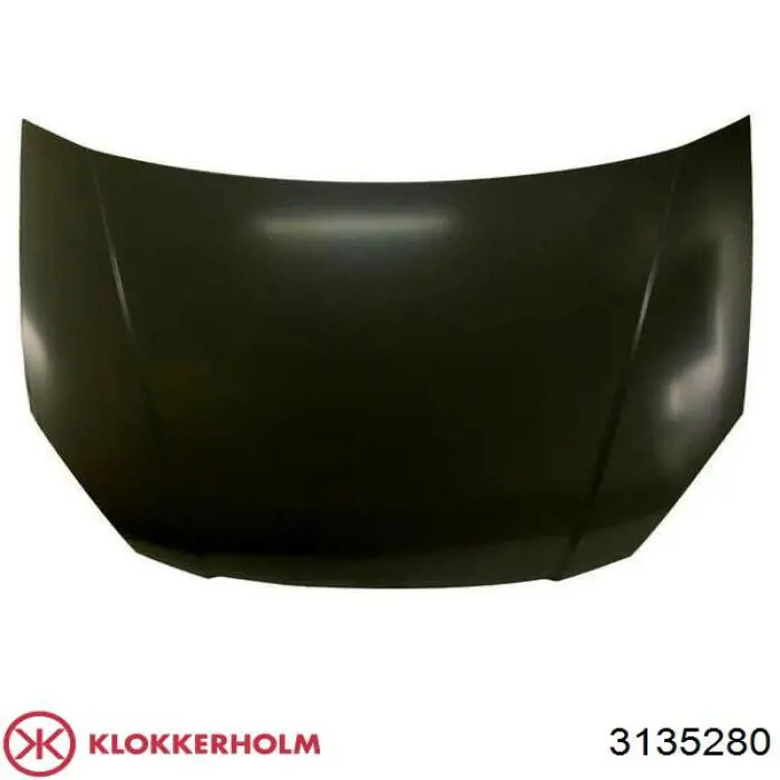 664002R010 Hyundai/Kia Capó delantero