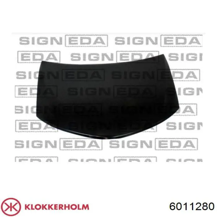 Capó del motor Renault Kangoo 2 FW0