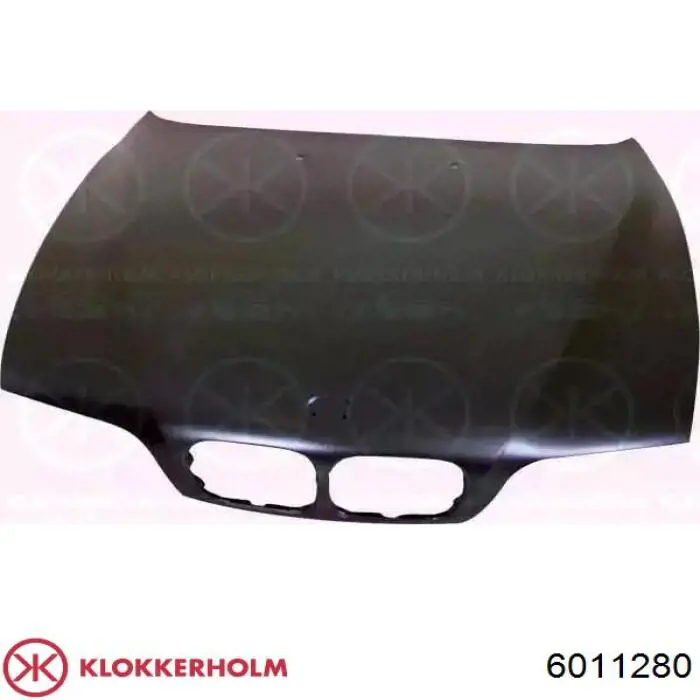 Capó del motor Renault Kangoo 2 FW0