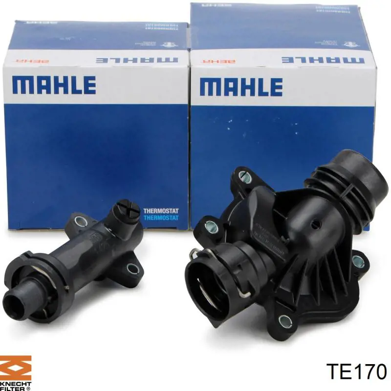 TE170 Knecht-Mahle termostato egr