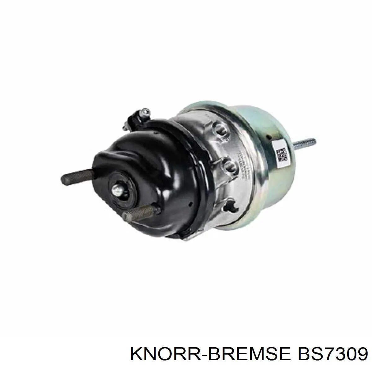 BS7309 Knorr-bremse cilindro de freno de membrana