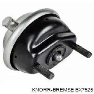 BX 7525 Knorr-bremse cilindro de freno de membrana