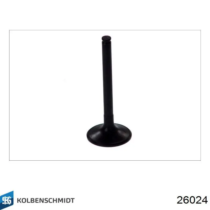 26024 Kolbenschmidt
