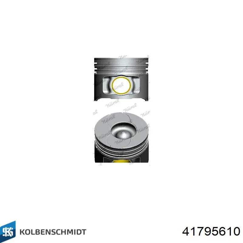 Pistón completo para 1 cilindro, segunda reparación (+0,50 mm) Kolbenschmidt 41795610 precio, desde 85,08 EUR