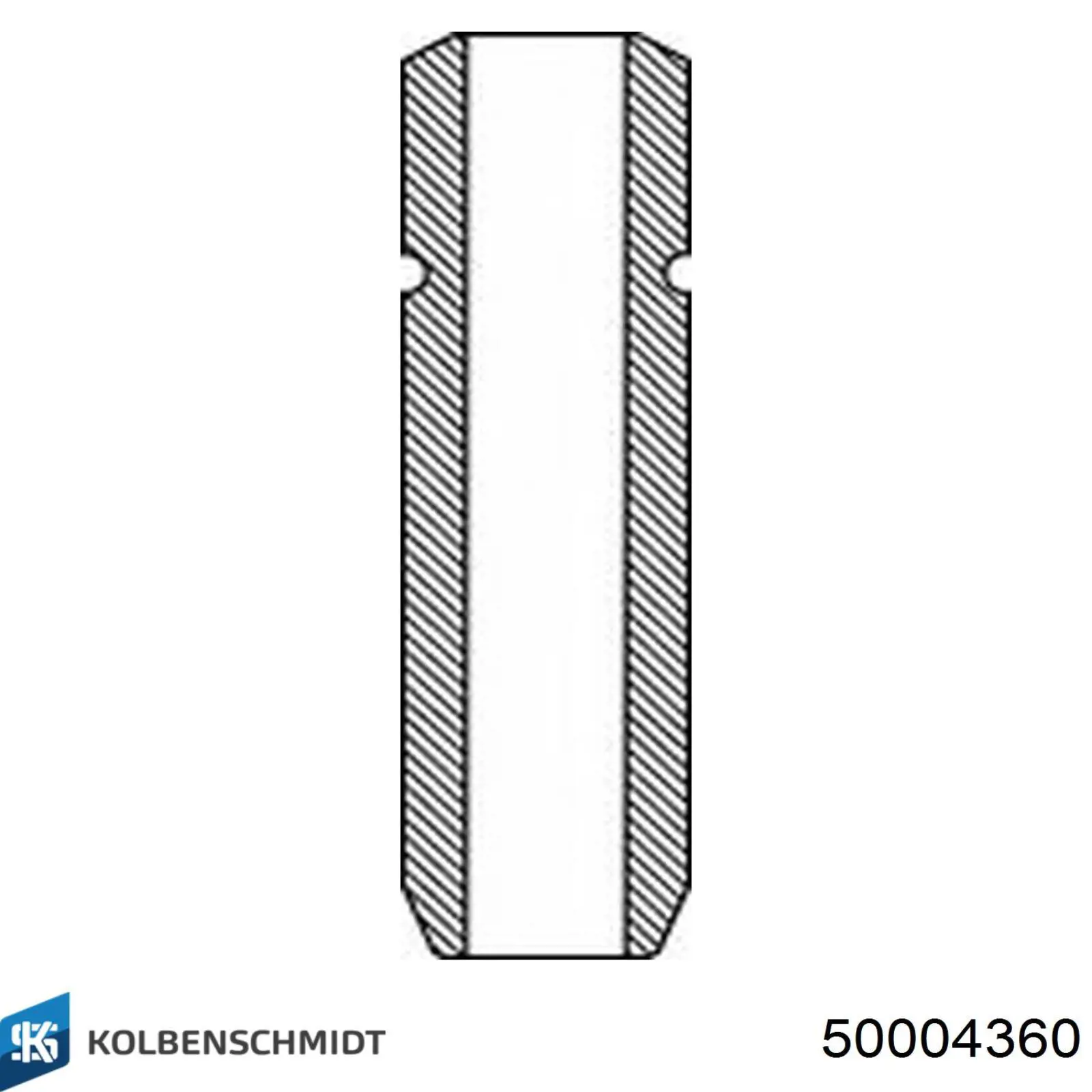 50004360 Kolbenschmidt guía de válvula de admisión