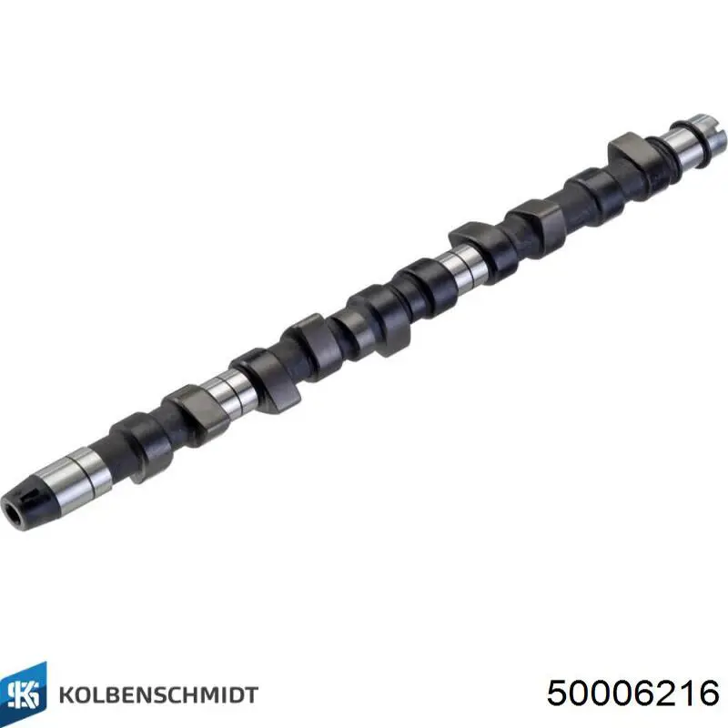 50006216 Kolbenschmidt Kit árbol de levas