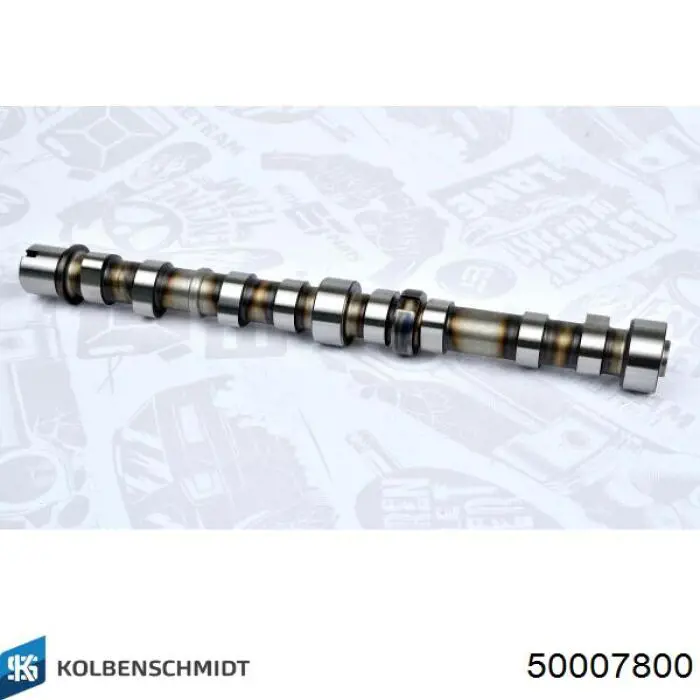 Comprar EC398 Eurocams Árbol de levas