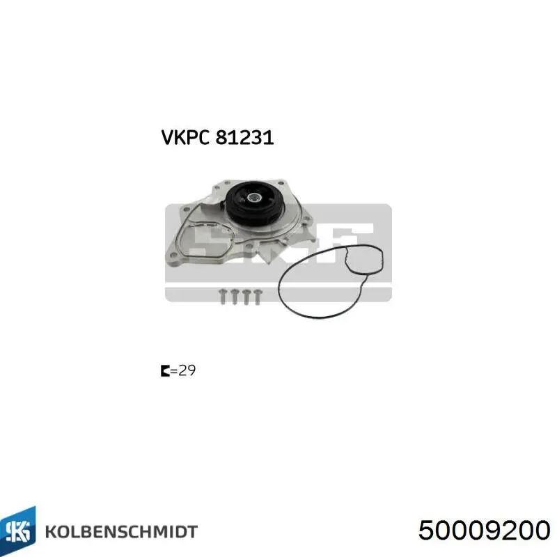 Biela Kolbenschmidt 50009200 precio, desde 90,70 EUR
