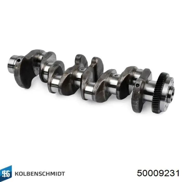 Biela del motor Kolbenschmidt 50009231