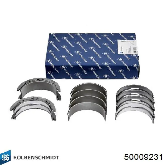 50009231 Kolbenschmidt Biela