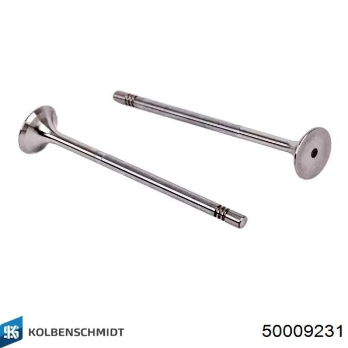 Biela Kolbenschmidt 50009231 precio, desde 80,75 EUR