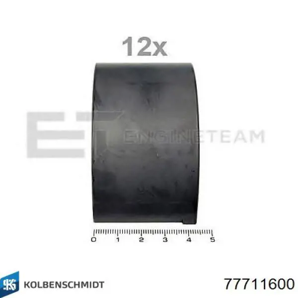 77711600 Kolbenschmidt Juego de cojinetes de biela, estándar (STD)