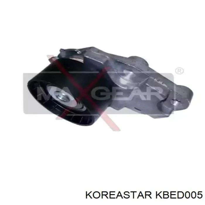 KBED005 Koreastar tensor correa distribución