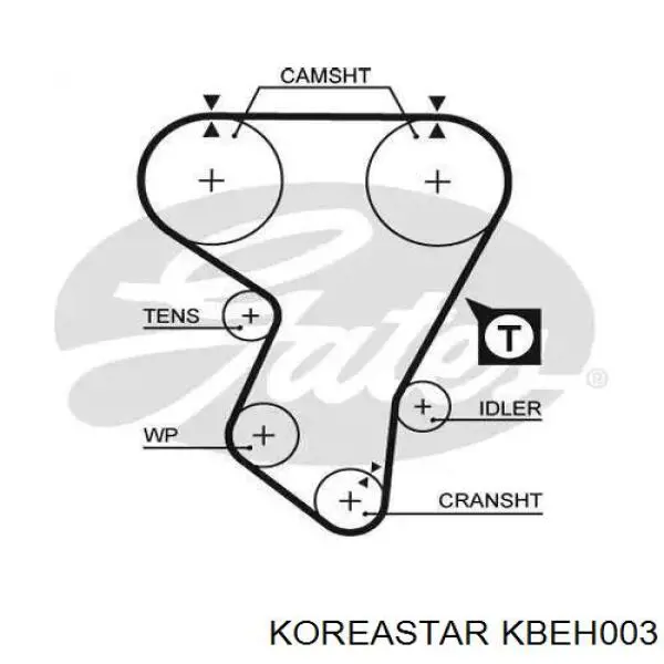Rodillo, cadena de distribución Hyundai Accent 1