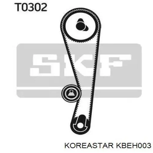 Rodillo, cadena de distribución Hyundai Accent 1