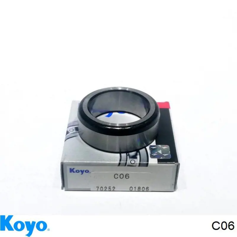  C06 Koyo
