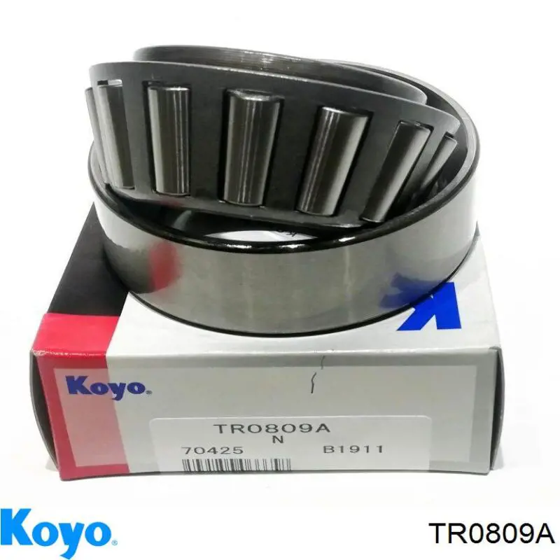 TR0809A Koyo