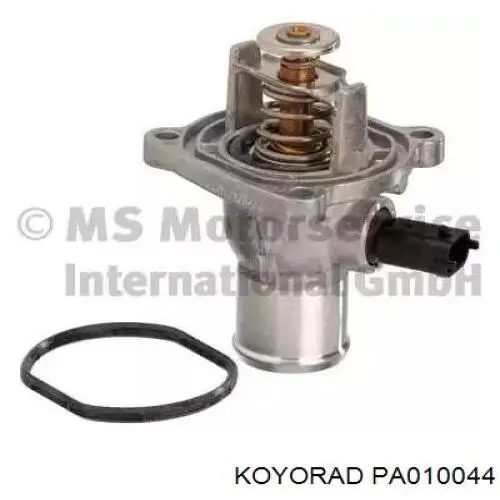 PA010044 Koyorad
