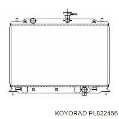 Radiador de água Doowon R302731121